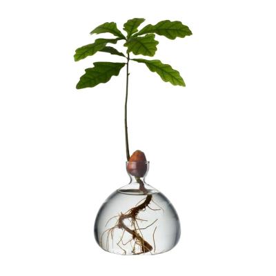 China Creative Custom Clear Minimalist Borosilicate Glass Bubble Vase With Slim Opening For Home Layout for sale