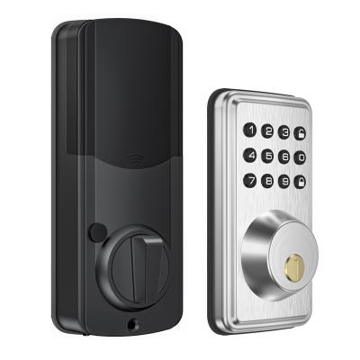 China 2022 Hotel Door Rim Hot Selling Waterproof Smart Electric Lock With WiFi Main Outdoor Door Smart Life Smart Lock for sale