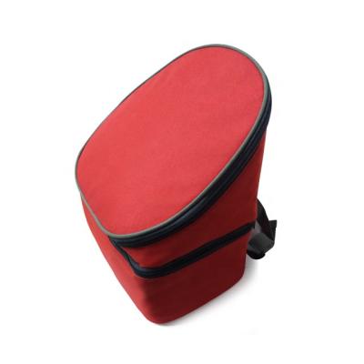 China High Quality Cooler Hot Sale Food Bag 600d New Style Insulated Promotion Cooler Bag for sale