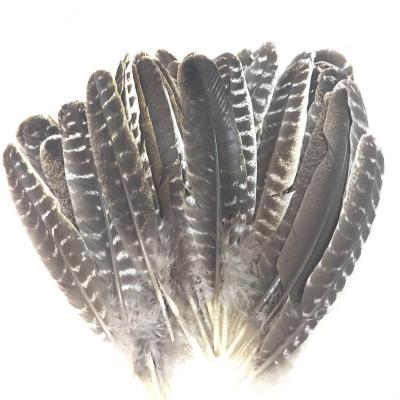 China Clothing accessories spot wholesale high quality washed feather diy natural turkey feather 15-30cm turkey feather for sale