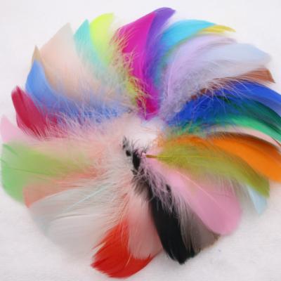 China Factory direct sales natural goose feather 8-12cm DIY color goose feather 15-135 for sale