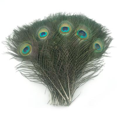 China Factory direct sales natural peacock feather 25-125cm DIY color peacock feather 15-135 for sale