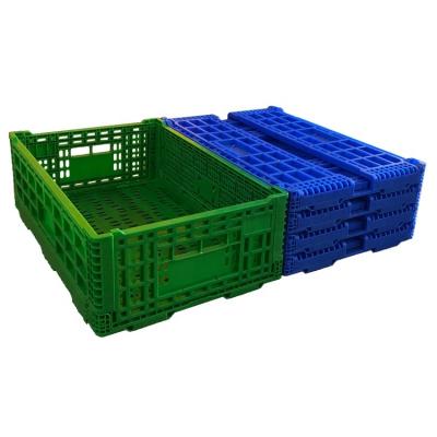 China Mesh Best price plastic collapsing folding crate collapsible plastic fruit crates plastic crates folding for sale