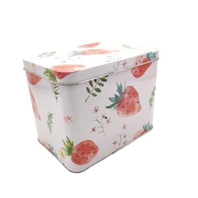 China Household Products Hot Sale Retro Tin Box Food Storage Tin Gift Floral Metal Can House Tins For Candy for sale