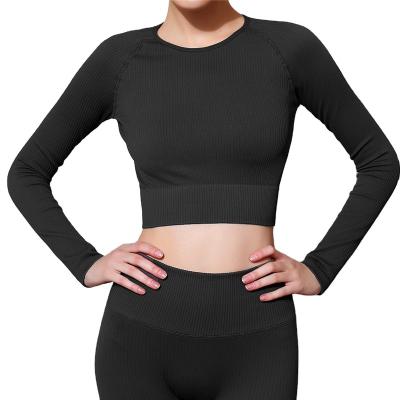 China QUICK DRY Long Sleeve Crop Top Female Fitness Exercise for sale