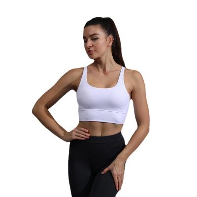 China QUICK DRY High Strength Anti-Seismic Yoga Underwear Sexy Corset Bottoming Vest for sale