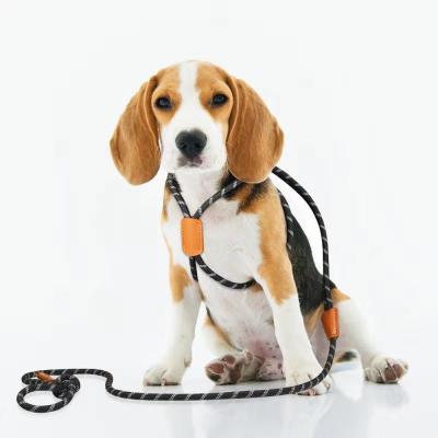 China Personalized Reflective Nylon Rounded Custom Deluxe Integrated Dog Leash and Harness for sale