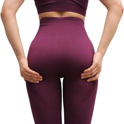 China Anti-Bacterial Wholesale outdoor sport running yoga leggings seamless tights leggings yoga pants for sale