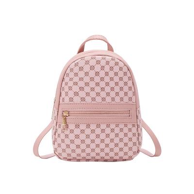 China Waterproof Wholesale 2021 New School Backpack Women Backpack Fashion Student Mini College Backpacks Handbags For Teenager Bags for sale