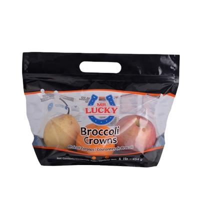 China Custom Printed Zipper Plastic Packaging Moisture Proof Bag With Handle And Air Hole Fruit Vegetable Bag for sale