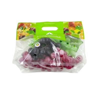 China Food Grade Moisture Proof Plastic Bags Fruit Vegetable Packaging Bags All Kind Of Plastic Packaging Bags for sale