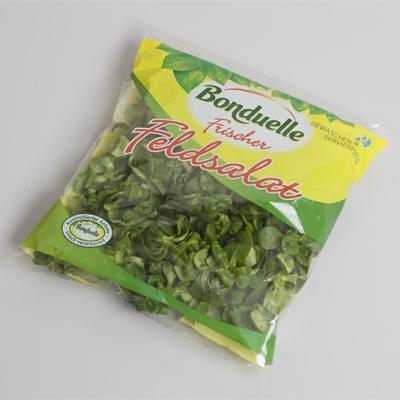 China Custom Printing Safety Plastic Back Sealed Packaging Bags For Vegetable Food Fruit Bags for sale