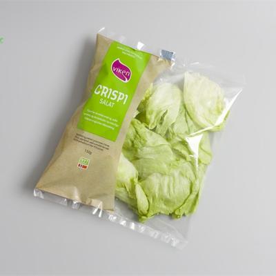 China Safety Food Grade Vegetable Plastic Packaging Bags All Kind Of Plastic Packaging Bags for sale