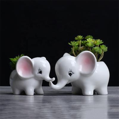 China Modern Durable Cartoon Succulent Flowerpot Ornaments Mini Ceramic Elephant Planters Garden Decoration for sale