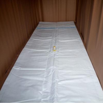 China PE Woven Liner ANTISTATIC Customized Dry Bulk Bag For 20ft 40ft Container 40HQ à venda