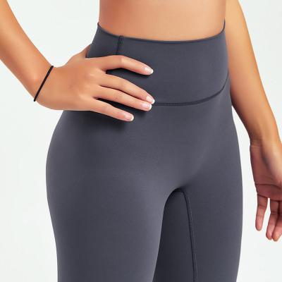 China Antibacterial Curve Cutout Seamless Yoga Pants Gym Outfits Workout Clothes Fitness Sport Women Fashion Wear Solid Pink Lilac Stretch Leggings for sale