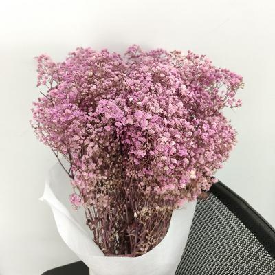 China Plant Wholesale Valentine's Day Home Decorative Colorful Dried Flower Boho Dried Flowers Bouquet Preserved Gypsophila Flower for sale