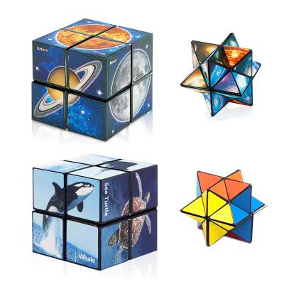 China Magnetic 2 In 1 Magic Cube 3D Puzzle Education Toys For Kids Cartoon Printed DIY Colorful Magnetic Infinity Folding Style For Adults for sale