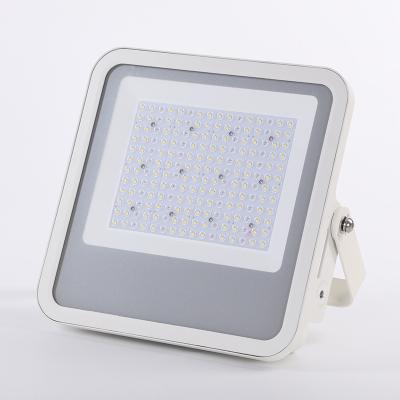 China Residential Led Flood 100 Watt zgsm ip66 160lm/w LED Floodlight 100w for sale