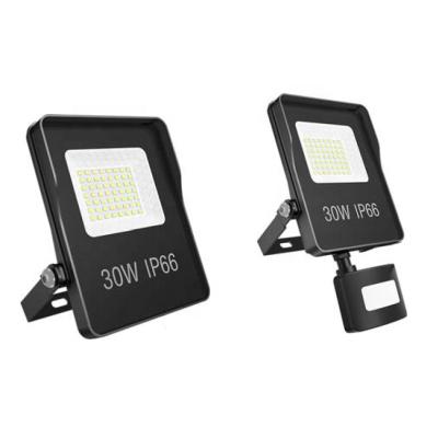 China IP66 IK08 10w 20w 30w 50w 220V Waterproof Led Theme Park Flood Light for sale