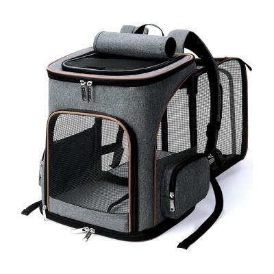 China Fashion best animal pet carrier backpack for cat small puppy dog bird bunny rabbit for sale