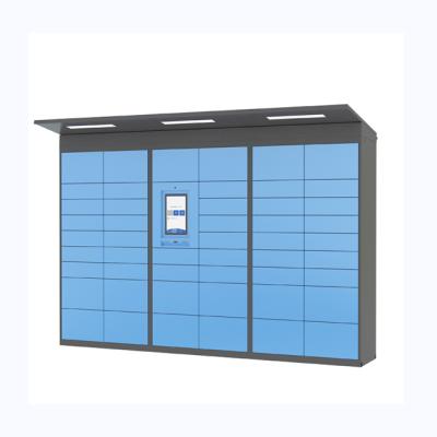 China SRI or Stainless Steel 12 Door Electronic Waterpark Storage Locker for Luggage, Package Storage Lockers for sale