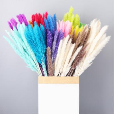 China Festival ; Wholesale Multy Color Wedding Festival Decor Easter Mother's Day Home Decoration Pampas Grass Bulk Artificial Flower Plants for sale