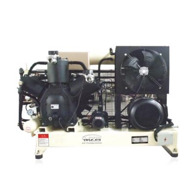 China Factory factory manufacturing 15.5kw 25hp high pressure air compressor for sale