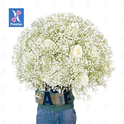 China Artificial touch gypsophila flower ball natural promise new design for wedding decoration centerpiece layout for sale