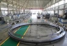 China Slewing Bearing and Slewing Ring with max diameter up to 11 meters with cheap price and good quality for sale