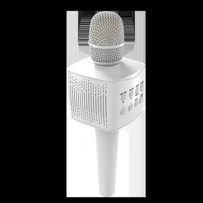 China No sales promotion professional wholesale popular design new product factory portable karaoke for sale