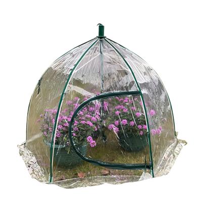 China Easily Assembled Outdoor Mini Growing House Plant Grow Tent Garden Greenhouse For Flower for sale