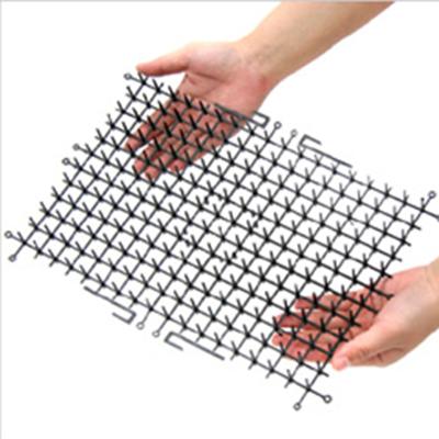 China Cat Plastic Spike Mat For Viable Garden Pest Control for sale