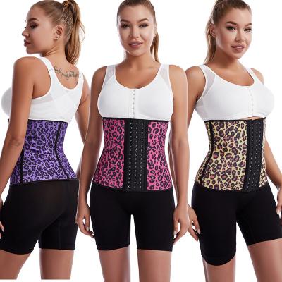 China 2022 High Quality Antibacterial Gym Sports Slimming Plus Size Tummy Control Waist Trainer Neoprene Leopard Print Women Body Shaper Belt for sale