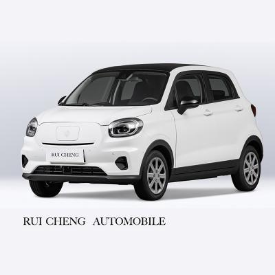 China 2022 New Factory Price Chinese Professional Adults Zero Race Small Electric Car For Sale 41KWH for sale