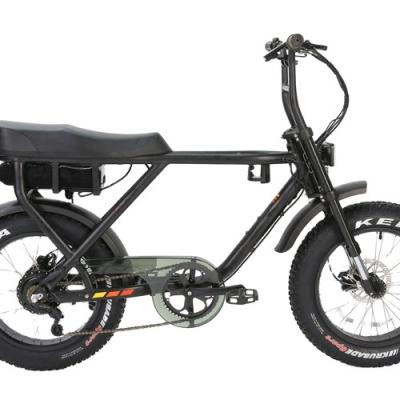 China 2020 Aluminum Alloy Frame Battery Powered Electric Bicycle 48V1000W Super Ebike Super 73 for sale