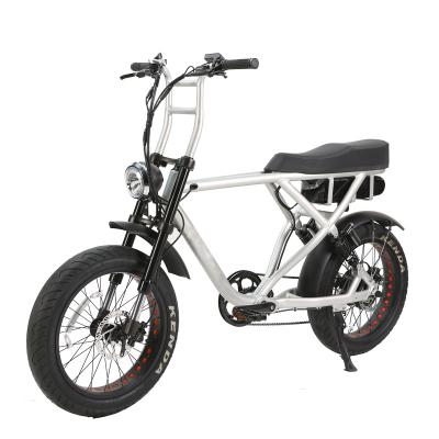 China BAOGL Standard Motor 500W Bafang 20 Inch Full Suspension Fat Electric Bike 2 People for sale