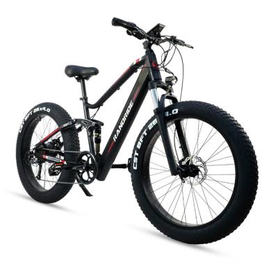 China 48V1000W Electric Full Suspension Snow Bike Hydraulic Disc Brake Ebikei Fat Tire Aluminum Alloy RANDRIDE 1000W Mountain Bike Electric Bicycle for sale