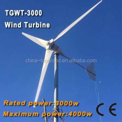 China Horizontal Wind Turbine Rated Max Power 3kw Power 4kw TGWT-3K for sale