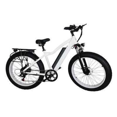 China Aluminum Alloy 48v 1000w 1500w Power Big Tire Fat Bike/Electric Snow Ebike/Electric Beach Cruiser Bicycle for sale