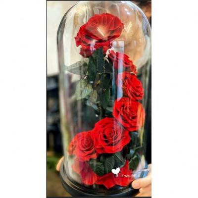 China Weddings Decoration Home Decor Hotel Lobby Features Low Price Various Preserved Rose Bouquet for sale