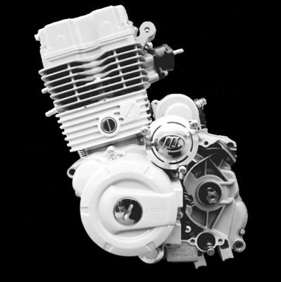 China Lifan water cooled water cooled engine used 150cc engine for cargo tricycle motorcycle engine for sale