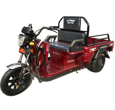 China China Factory Wholesale New High Power Adults Mini Small Passenger Electric Cargo Tricycle For Elderly for sale