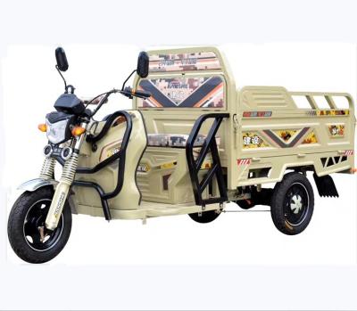 China Hot Selling Cargo Adults Low Price Motorized Electric Cargo Box Delivery Tricycle for sale