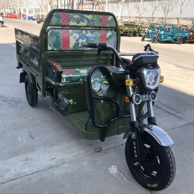 China Factory direct sales 3 wheel cargo power 800w 60V electric tricycle for adults for sale