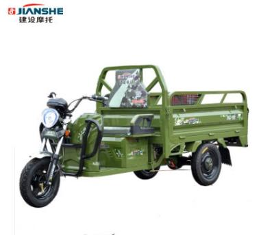 China Hot Selling Cheap Agricultural Cargo China Weight 265kg 48v/60v Electric Tricycle for sale