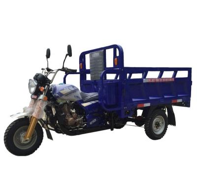 China Good Quality Cargo China Export Big Wheel Tricycles 200cc 250cc Benin Nigeria Gasoline Cargo Tricycle Motorcycle for sale