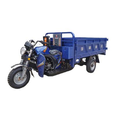 China Hot Selling Cheap Cargo Displacement 250CC Large Capacity 3 Wheel Gasoline Adult Tricycle for sale