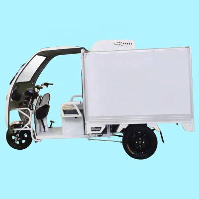 China Cargo Shed Single DC Battery Driven Refrigeration Refrigeration Insulation Milk Delivery Food Delivery Cargo Tricycle for sale