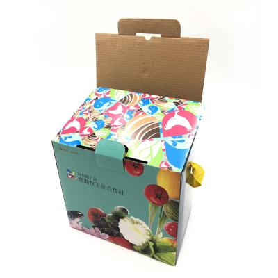 China Taiwan Recyclable Custom Packaging Boxes for sale